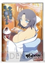 『閃乱カグラ SHINOVI VERSUS －少女達の証明－』