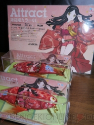 ワンダーフェスティバル2013［冬］