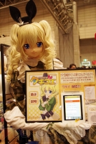 『ワンダーフェスティバル2013［冬］』
