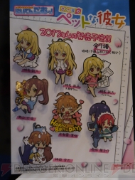 ワンダーフェスティバル2013［冬］