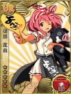 『風雲！なでしこコレクション』