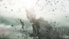 FreQuency