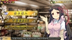 『閃乱カグラ SHINOVI VERSUS －少女達の証明－』
