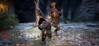 『ドラゴンズドグマ：ダークアリズン』