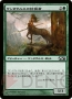 初心者のための『MTG』講座