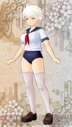 『閃乱カグラ SHINOVI VERSUS －少女達の証明－』