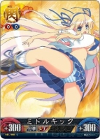 『閃乱カグラTCG UNLIMITED VS』