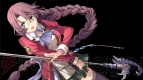 『閃の軌跡』