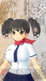 『閃乱カグラ SHINOVI VERSUS ‐少女達の証明‐』