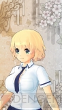 『閃乱カグラ SHINOVI VERSUS ‐少女達の証明‐』
