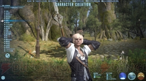 『ファイナルファンタジーXIV： 新生エオルゼア』ベータテストレビュー。『新生FFXIV』の大地をいち早く踏みしめた【春のレビュー祭り】