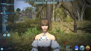 『ファイナルファンタジーXIV： 新生エオルゼア』ベータテストレビュー。『新生FFXIV』の大地をいち早く踏みしめた【春のレビュー祭り】