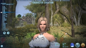 『ファイナルファンタジーXIV： 新生エオルゼア』ベータテストレビュー。『新生FFXIV』の大地をいち早く踏みしめた【春のレビュー祭り】