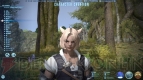 『ファイナルファンタジーXIV： 新生エオルゼア』フェーズ1～2画像