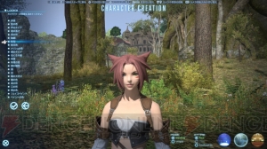 『ファイナルファンタジーXIV： 新生エオルゼア』ベータテストレビュー。『新生FFXIV』の大地をいち早く踏みしめた【春のレビュー祭り】