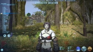 『ファイナルファンタジーXIV： 新生エオルゼア』ベータテストレビュー。『新生FFXIV』の大地をいち早く踏みしめた【春のレビュー祭り】