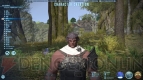『ファイナルファンタジーXIV： 新生エオルゼア』フェーズ1～2画像