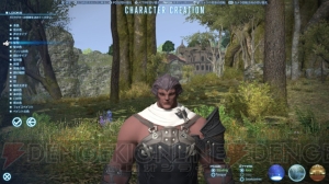 『ファイナルファンタジーXIV： 新生エオルゼア』ベータテストレビュー。『新生FFXIV』の大地をいち早く踏みしめた【春のレビュー祭り】