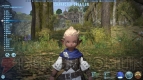 『ファイナルファンタジーXIV： 新生エオルゼア』フェーズ1～2画像