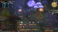 『ファイナルファンタジーXIV： 新生エオルゼア』フェーズ1～2画像