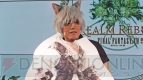 『ファイナルファンタジーXIV：新生エオルゼア』