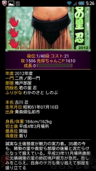 『大相撲カード決戦』