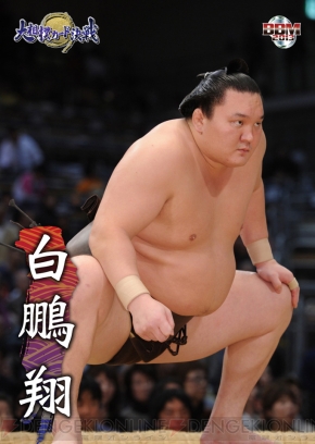 『大相撲カード決戦』