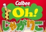 『じゃがりこ』