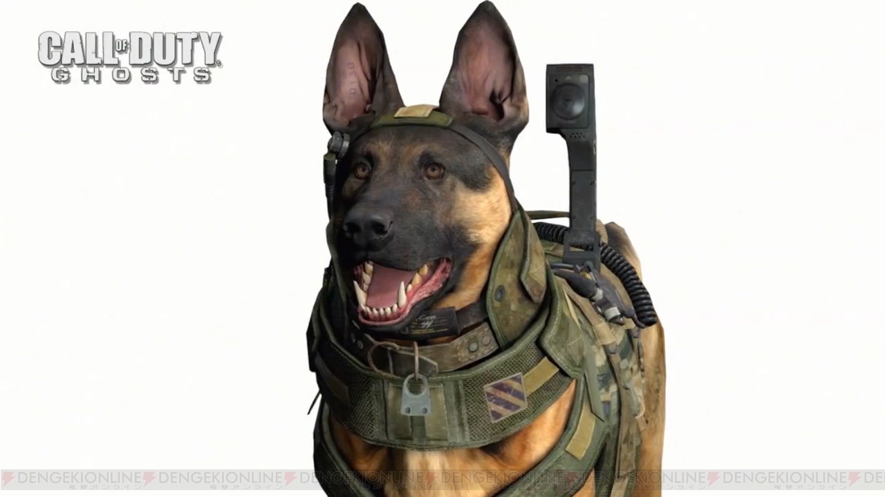 軍用犬