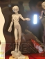 プライズフェア