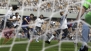 『FIFA 14 ワールドクラスサッカー』