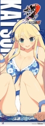 『閃乱カグラTCG UNLIMITED VS』