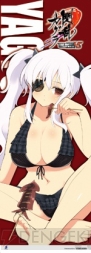 『閃乱カグラTCG UNLIMITED VS』