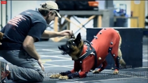 『コール オブ デューティ ゴースト』