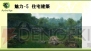 『アーキエイジ』