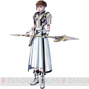 ドラッグオンドラグーン ゼロ 鎧&剣&衣装&ウィッグ&靴フルセット