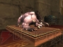 『FINAL FANTASY XI』