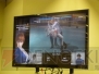 『DEAD OR ALIVE 5』