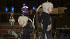 『ファイナルファンタジーXIV： 新生エオルゼア』