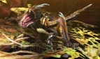 『モンスターハンター4』