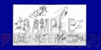 『閃乱カグラ』真夏のにゅうにゅう祭り