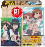 “ナムコ×とある科学の超電磁砲Sキャンペーン！”