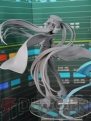 WF2013［夏］