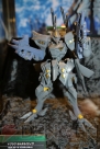 WF2013［夏］