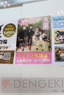 WF2013［夏］
