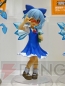 “ワンダーフェスティバル2013［夏］”