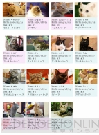“ねこぶくろ”