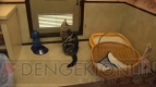“ねこぶくろ”