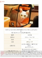 “ねこぶくろ”