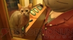 “ねこぶくろ”
